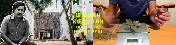 ГАЛЛЮЦИНОГЕННЫЕ ГРИБЫ Дмитровск