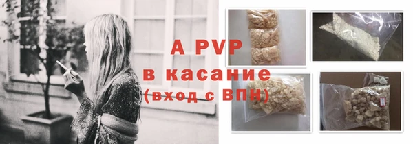 крисы Елабуга