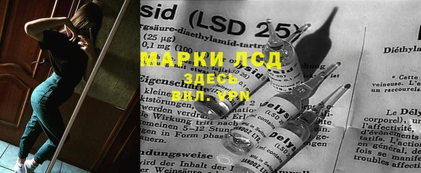 крисы Елабуга