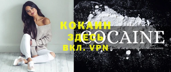 крисы Елабуга