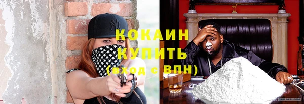 крисы Елабуга