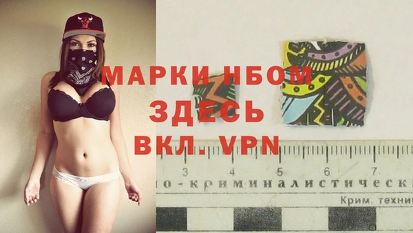 крисы Елабуга